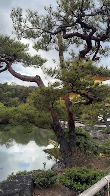 리쿠슈노마쓰 사진 4