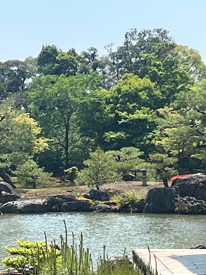 리쿠슈노마쓰 사진 5