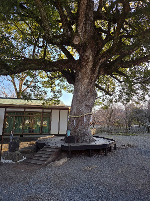 すえひろがね 餅鉄 사진 4