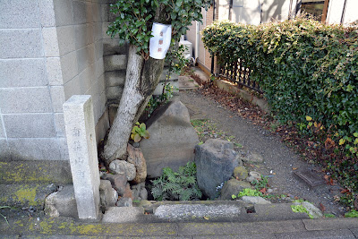常盤井 사진 3
