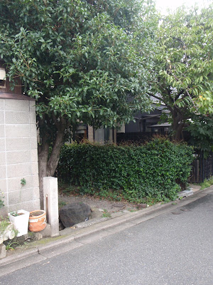常盤井 사진 4