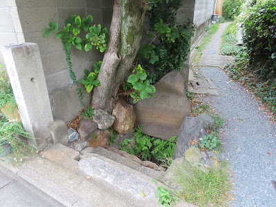 常盤井 사진 5