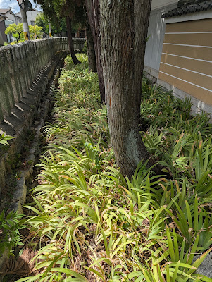 上御靈神社 사진 3