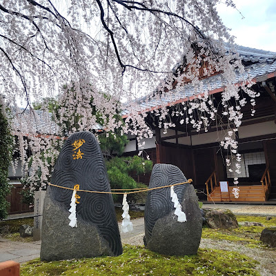 혼만지 사진 5