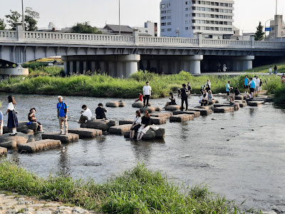 Stone Turtles of Takano River 사진 3