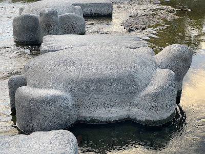 Stone Turtles of Takano River