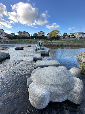 Stone Turtles of Takano River 사진 4