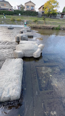Stone Turtles of Takano River 사진 2
