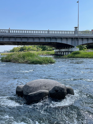 Stone Turtles of Takano River 사진 5