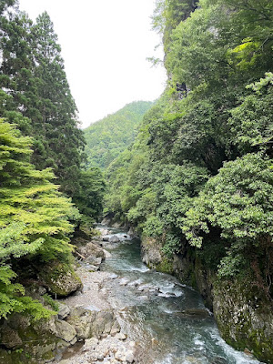 北山杉の並木道 사진 3