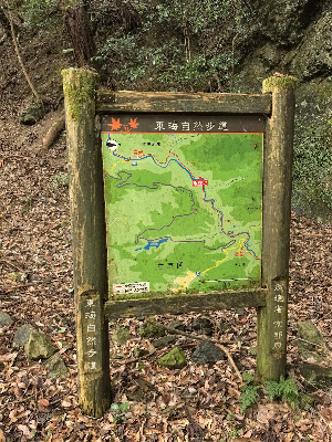 北山杉の並木道 사진 4