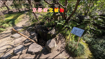 水琴窟「涌水」 사진 2
