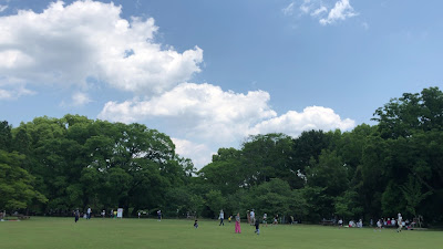 Central Lawn 사진 2