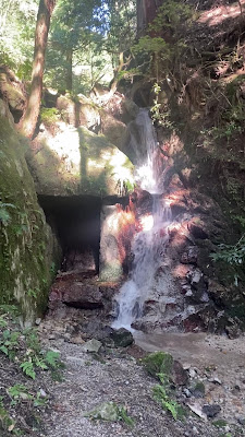 Kinsen Falls 사진 2