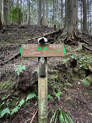 Kinsen Falls 사진 3