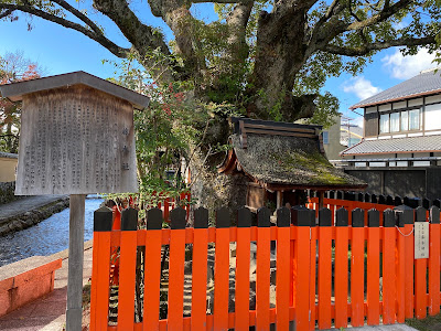 Fujinoki-no-yashiro Shrine 사진 3