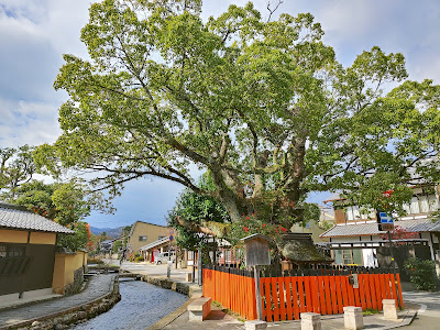 Fujinoki-no-yashiro Shrine 사진 4