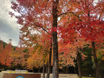 Kodomo-no-Rakuen Playground 사진 5