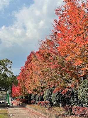Iwakura South Park