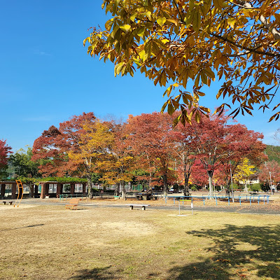 Iwakura South Park 사진 5
