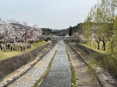 Camellia Road 사진 2