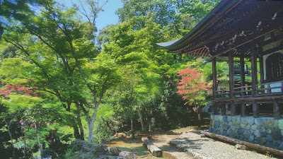 세이켄지 사진 4