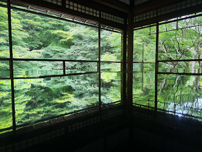 루리코인