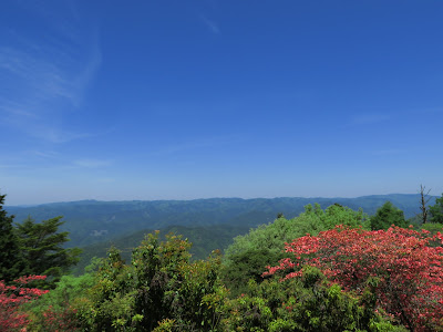 Azalea Hill