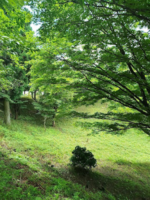 Azalea Hill 사진 3