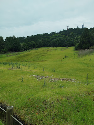Azalea Hill 사진 4
