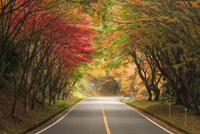 Okuhiei Driveway (South End)