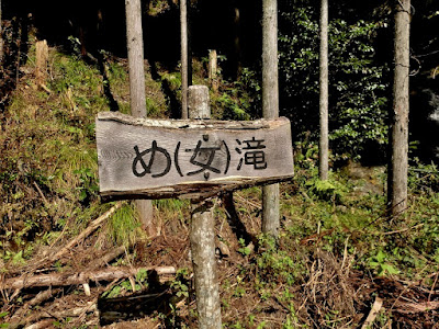 Medaki Waterfall 사진 3