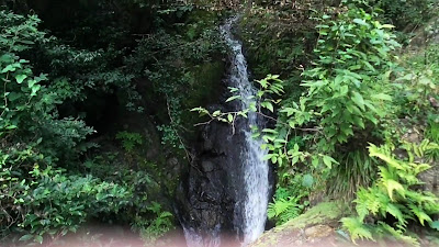 Medaki Waterfall 사진 2