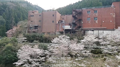 北山杉の里 中川 사진 2