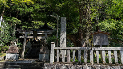 北山杉の里 사진 4