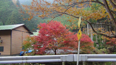 Kyoto Kitayamasuginosato General Center 사진 2