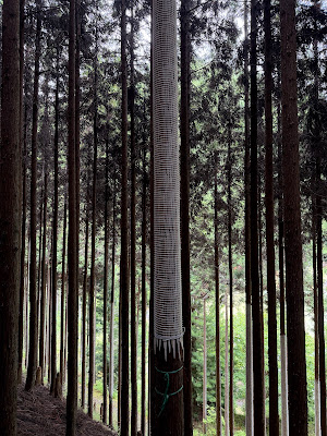 Kyoto Kitayamasuginosato General Center