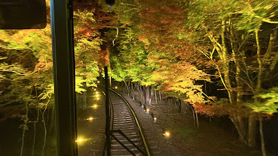 Maple Tree Tunnel 사진 3