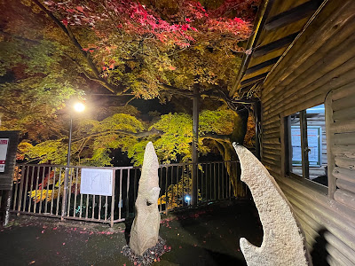 クワガタ岩