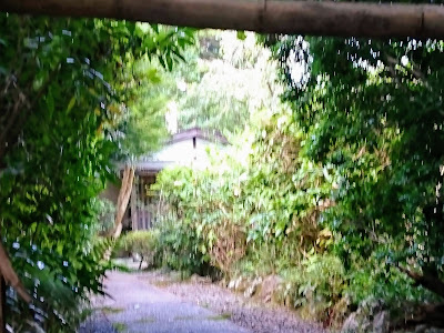 Hitoshi Komatsu Museum 사진 5