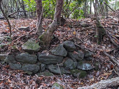 Shizuhara-jo Castle Ruins 사진 3