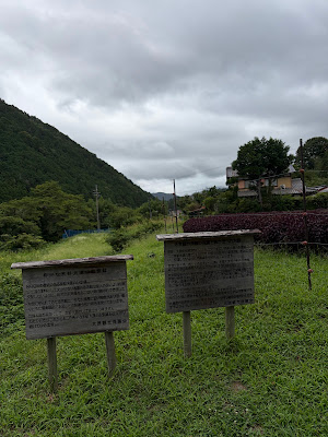 大原の赤紫蘇 사진 3
