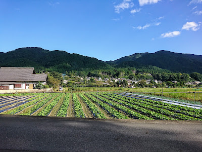 Otsu-ga-Mori 사진 5