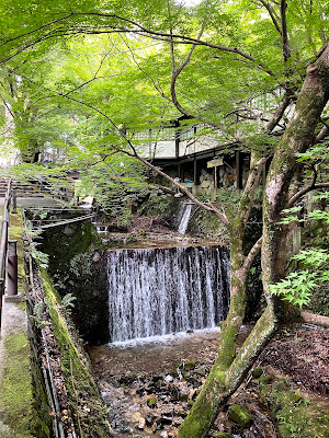 Rogawa 사진 3