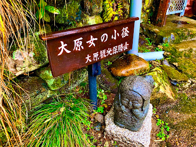 Rogawa
