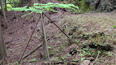 滝又の石佛群 사진 2