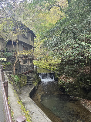 Kifune 사진 4