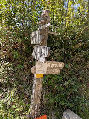 Bamboo trail 사진 3