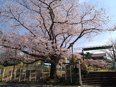 관공대 유원지 사진 3