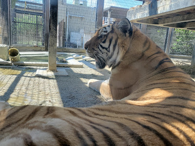 Kyoto City Zoo Beast World